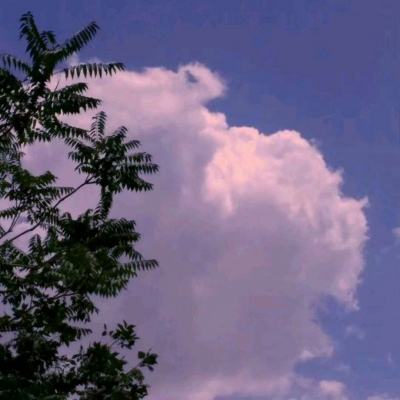 我是小奇兵破解版下载
